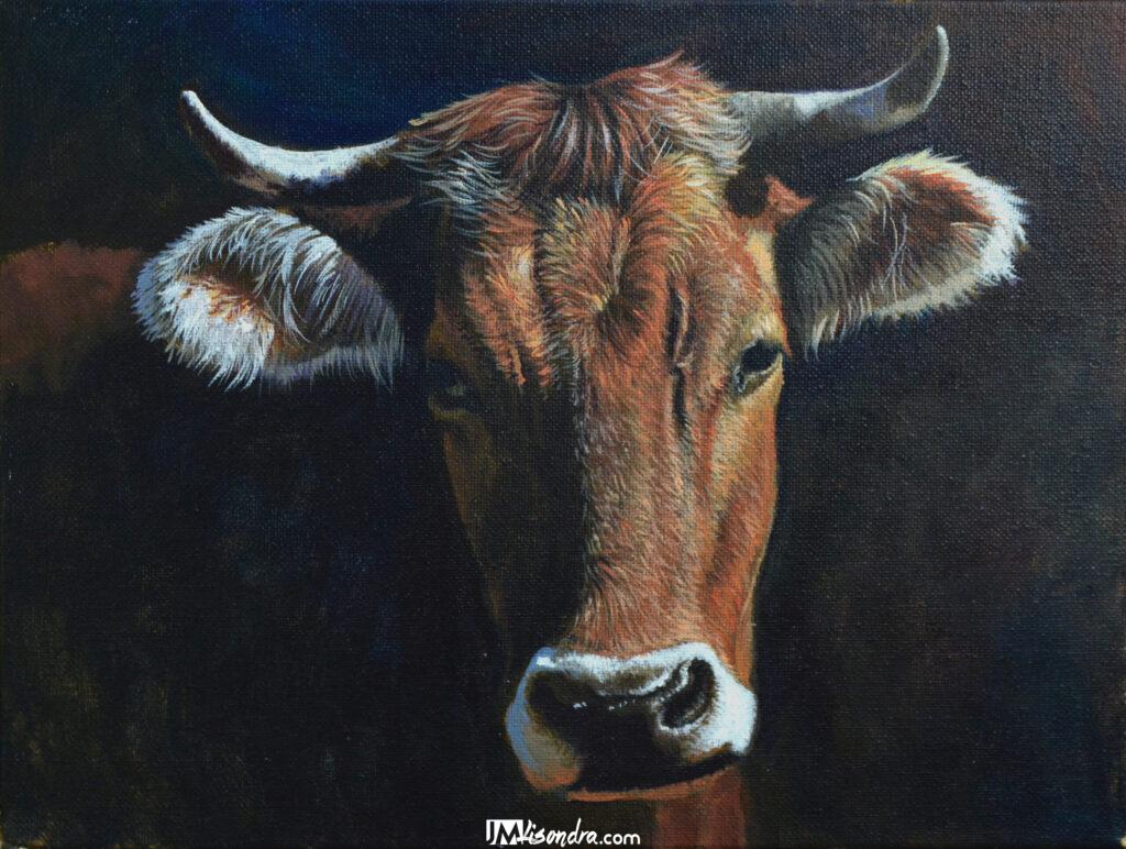 portrait of a cow scaled