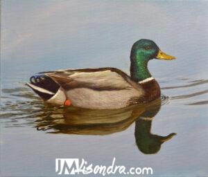 How to Paint Realistic Wid Duck – Full Step by Step Painting Tutorial in Acrylics