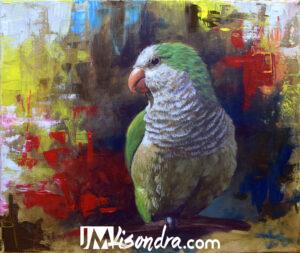 Quaker Parrot Bird – Acrylic Painting in Canvas by JMLisondra