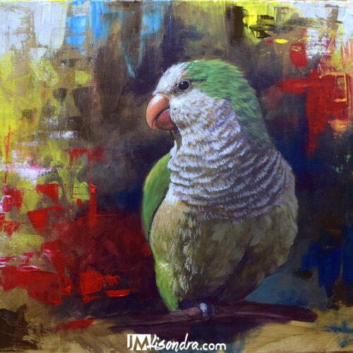 Quaker Parrot Bird - Acrylic Painting in Canvas by JMLisondra